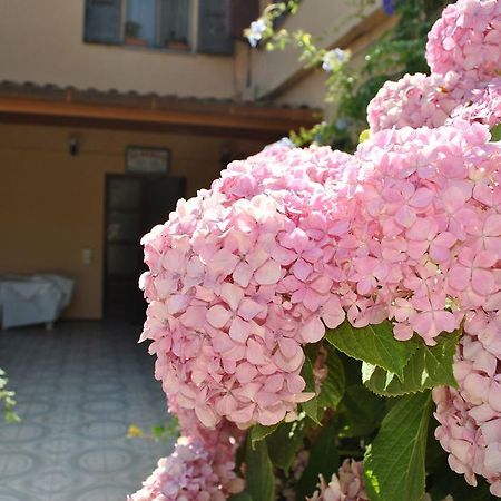 Hotel La Pineta Arborea Kültér fotó
