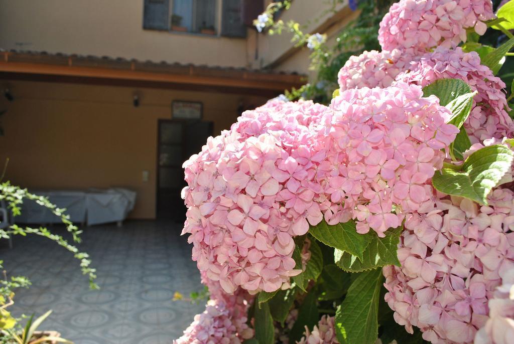 Hotel La Pineta Arborea Kültér fotó